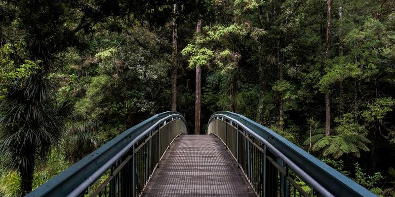 网络技术怎么用?从入门到实战,技术博客与DC616社区的进阶指南